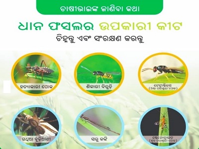 Workshop cum Training Programme of Fall Army Worm